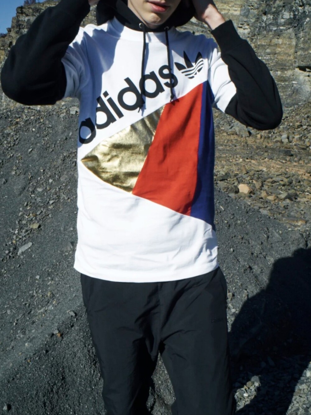 adidas Tribe T-Shirt  Colorblock Panels